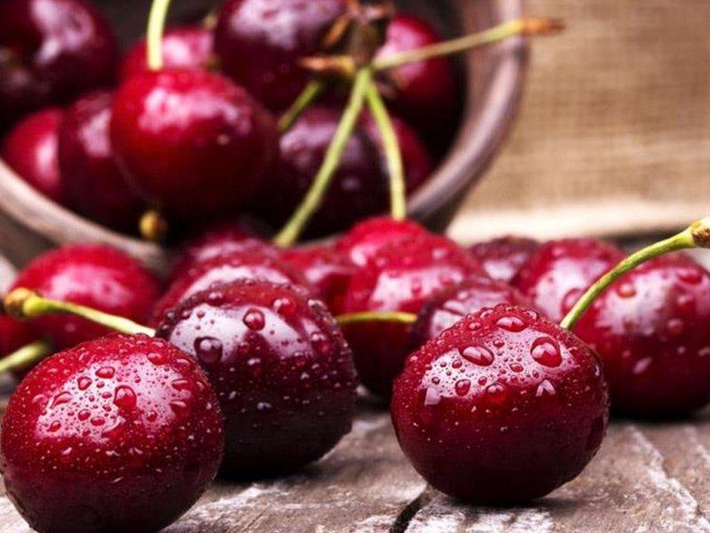 Вишня купить саженцы из питомника в Соликамске